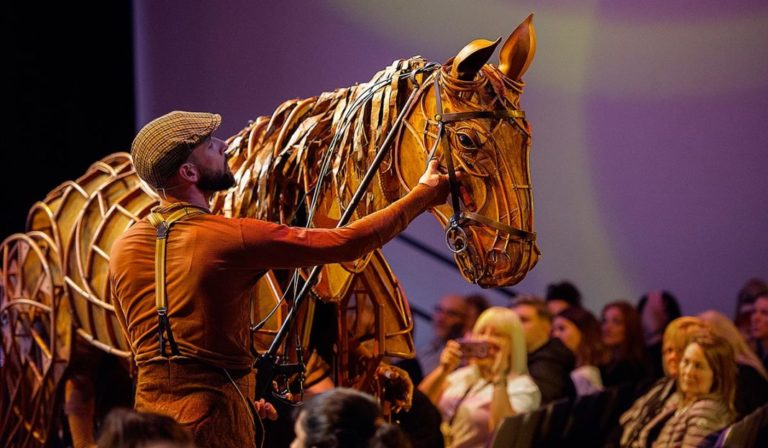 Watch: A sneak peek of War Horse