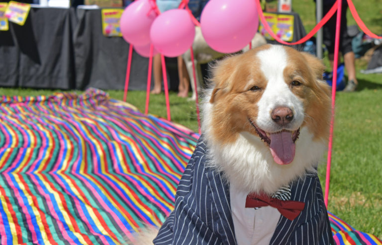 Event: Woof! The Rainbow Dog Show